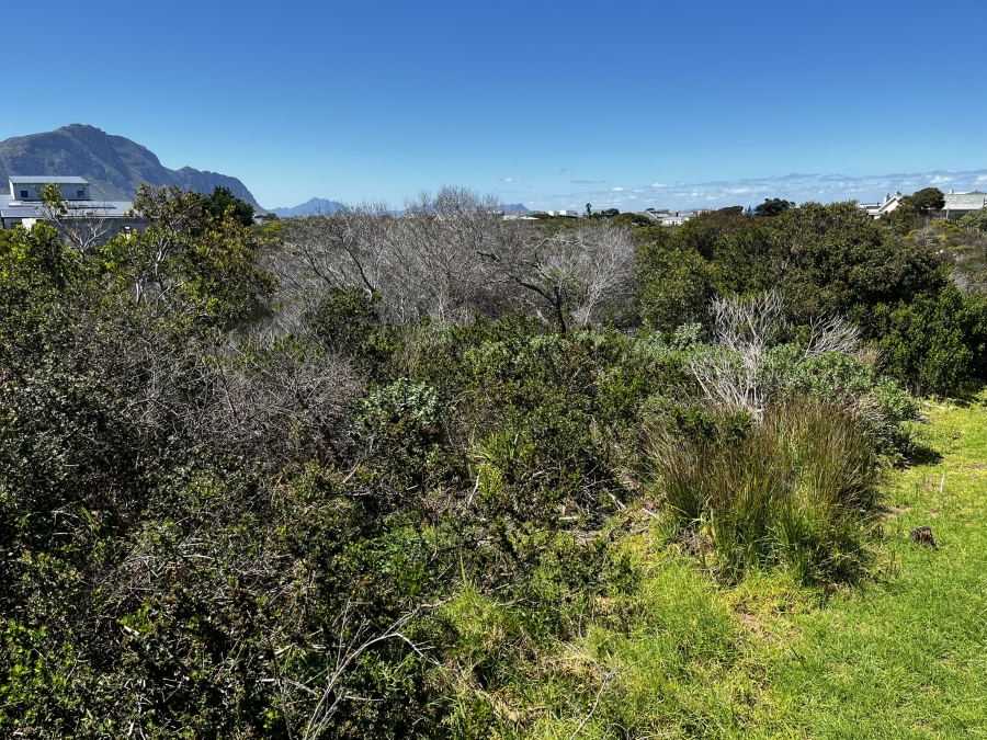 0 Bedroom Property for Sale in Bettys Bay Western Cape